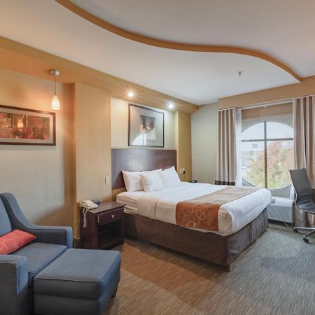 Comfort Suites Perrysburg - Toledo South Екстер'єр фото